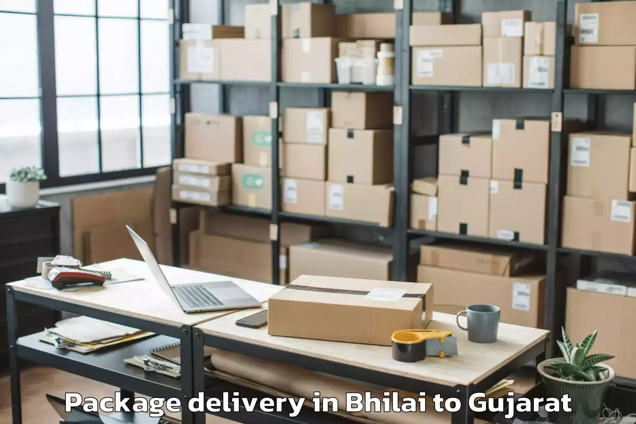 Expert Bhilai to Dhuvaran Package Delivery